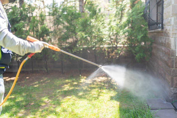 Best Seasonal Pest Control (e.g., summer mosquitoes, winter rodents)  in Gordon, GA